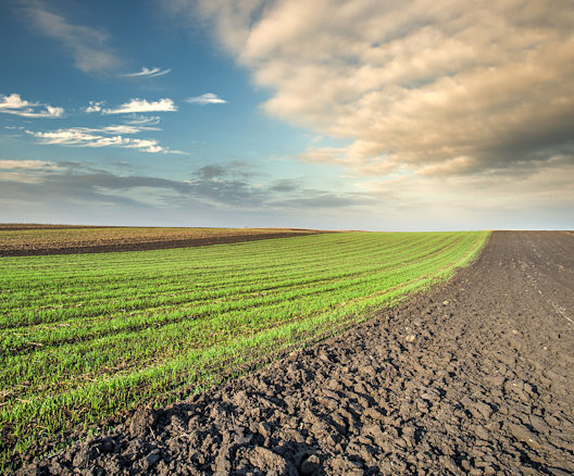 Wycena gruntów rolnych oraz leśnych